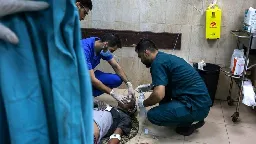 Urgent support for medical professionals in Gaza, organized by Diana Nazzal