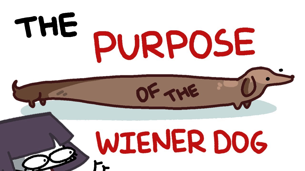 the dark history and purpose of the wiener dog.