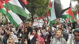 Protest held in Germany against Israel's actions in Gaza, police brutality