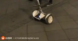 The owl is a pro at riding the Segway..