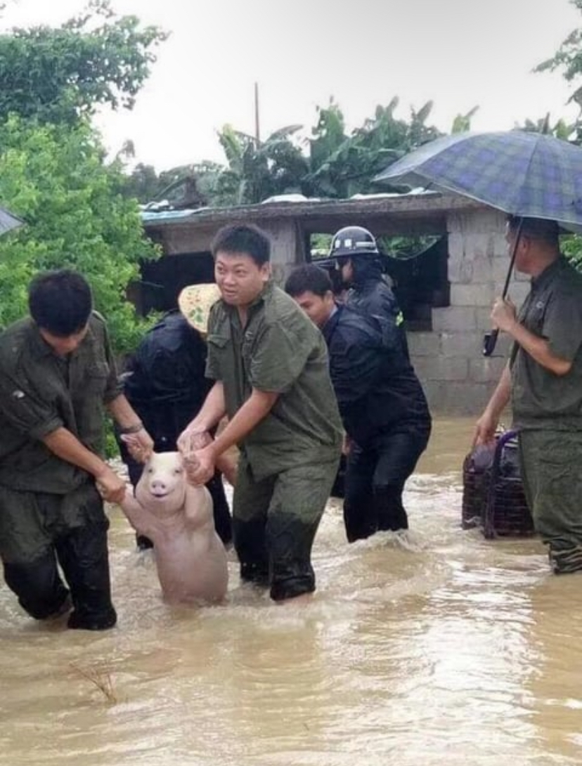 donald trump being evacuated from mar a lago as hurricane milton floods florida.