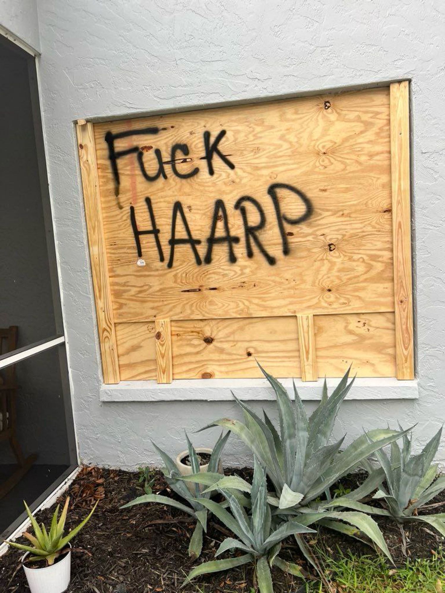 A boarded up window has "Fuck HAARP" spraypainted on it.