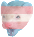 trans-ferret