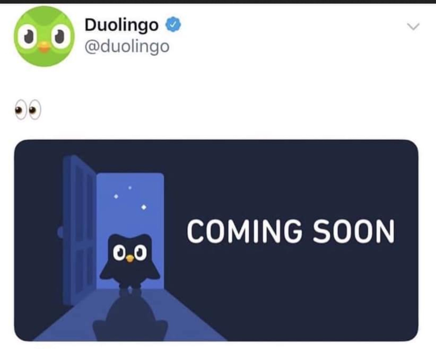 Duolingo knife