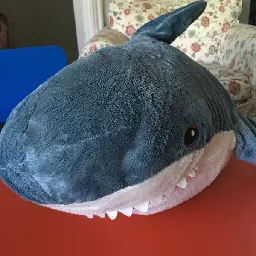 How to Sell a Shark Book